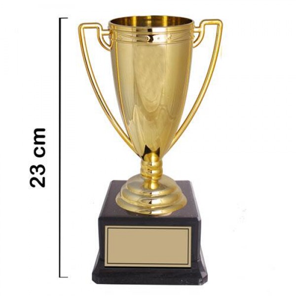 Altın Ödül Kupası 23 cm